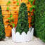 Kellyton 18 cm H x 59 cm W Lawn Edging Fencing