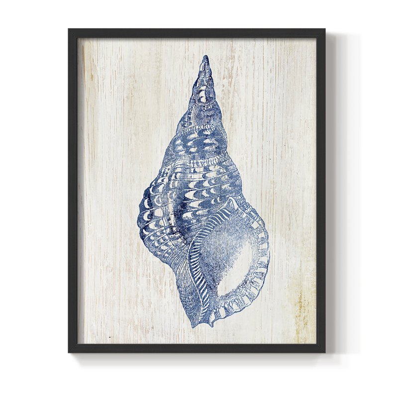 Impression encadrée Shell III - bois massif, Noir, noir, noir, noir, H 30 po x l 24 po