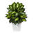 Dieffenbachia Artificial Plant in White Metal Planter