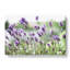Lavender Vol.1 - Wrapped Canvas-64020376
