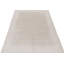 Hand Knotted Area Rug in Beige