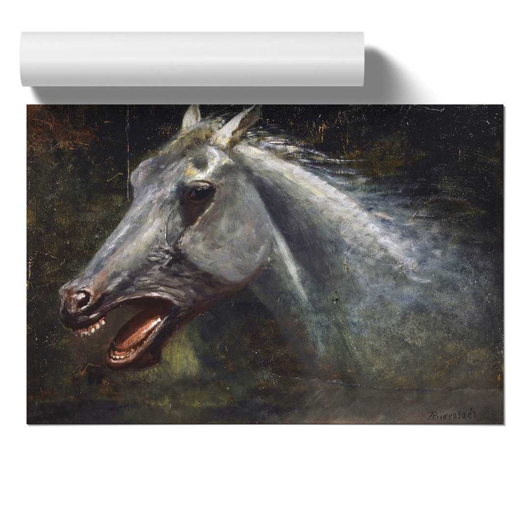A Wild Stallion by Albert Bierstadt - Frameless Print