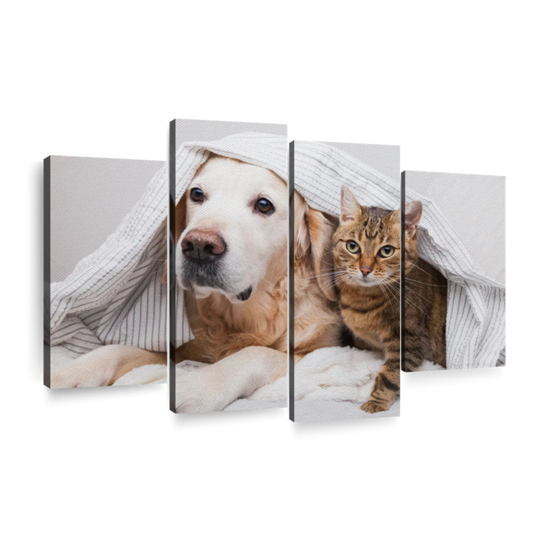 Cozy Dog and Cat Wall Art, reproduction d'art sur toile, H 22 po x l 36 po x P 1 po