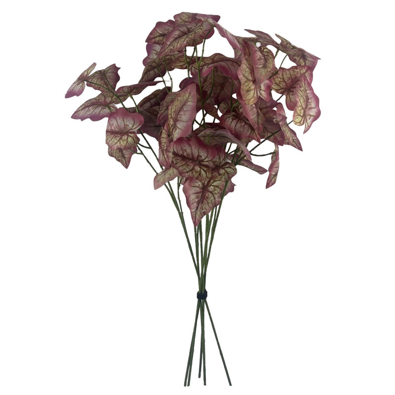 Andwele Arrangement
