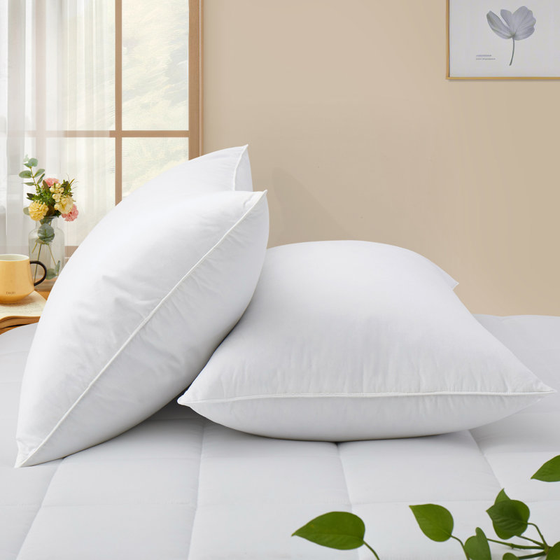 Insert de coussin réversible , H 20 po x l 26 po