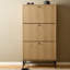 Roscigno 9 Pair Flip Down Shoe Storage