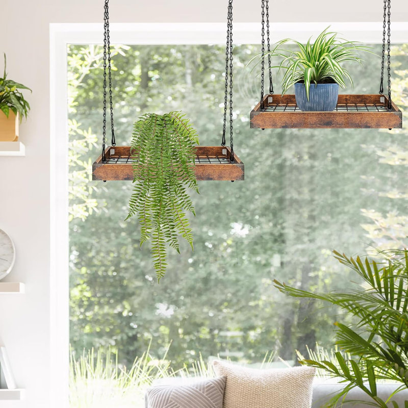 Heavy Duty 50 LBS Capacity MDF Metal Mesh Hanging Plant Shelf Indoor Vertical Plant Hanger