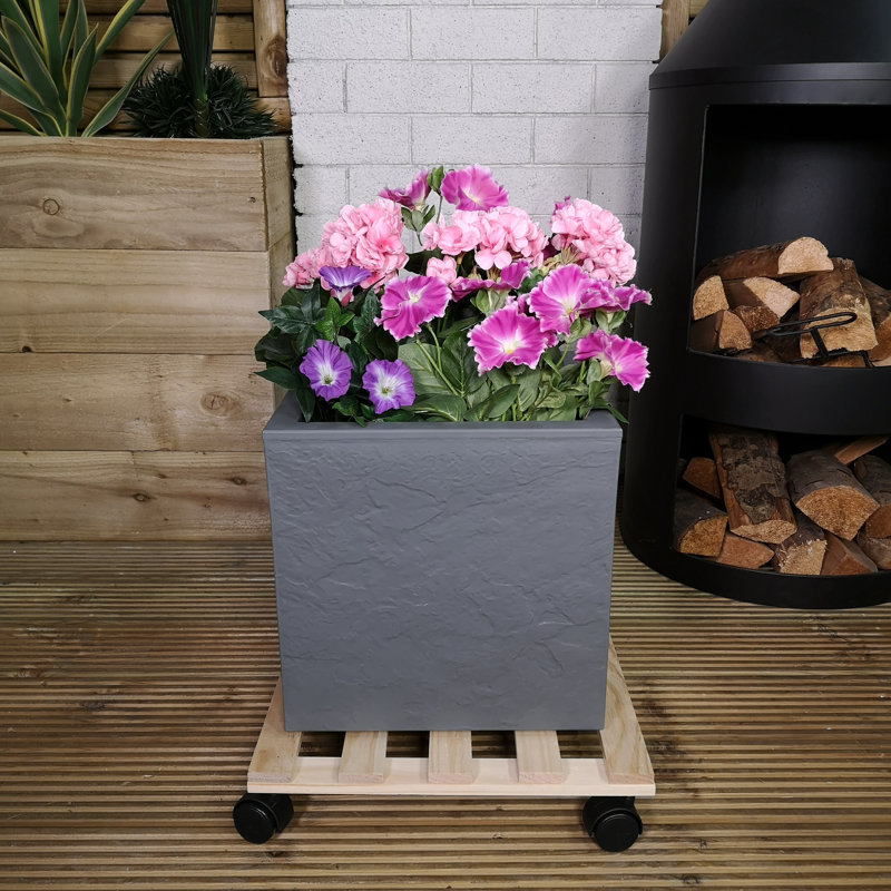Samuel Alexander Plant Stand