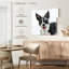 Border collie recouvert de neige Brampt-109373595