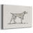 Neutral Pointer I-Gallery Wrapped Canvas-894017477