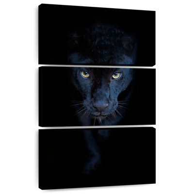 Brampt Sneaky Black Panther I
