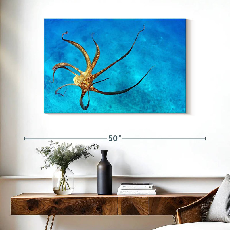 Brampt Wild Octopus Tentacles