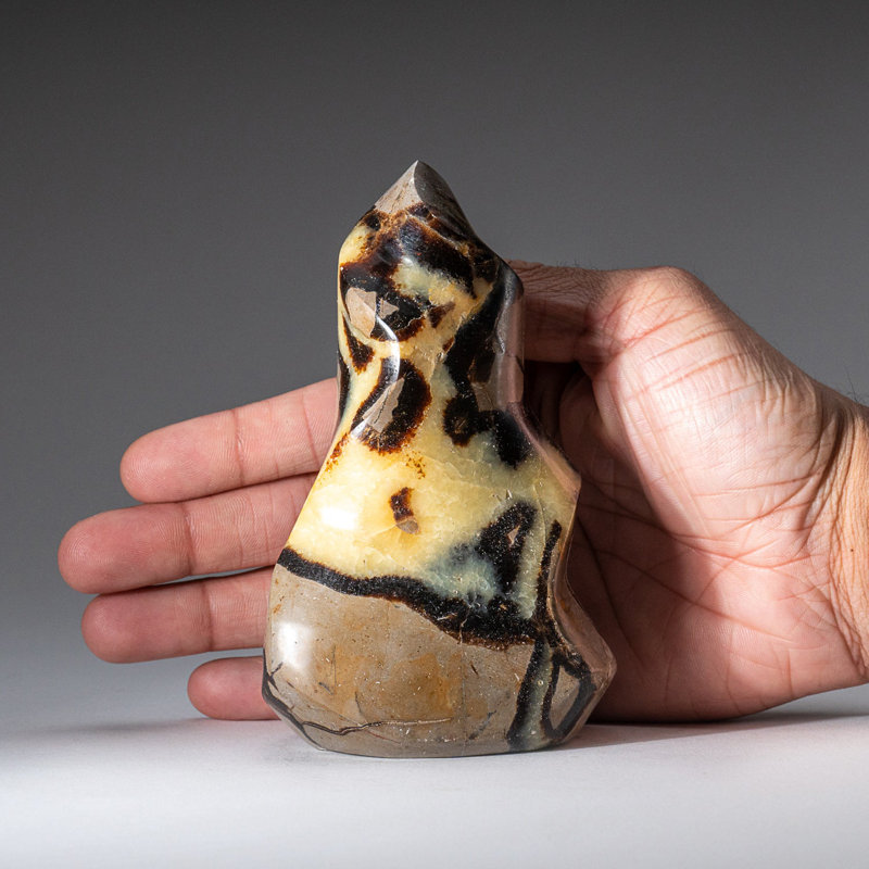 Polished Septarian Flame Freeform from Madagascar (1.5 Lbs)