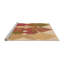 Tapis 100% à motifs lavables à la machine 2989-269258557