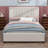 Upholstered Platform Bed with 2 Drawers and 1 Trundle, Classic Headboard Design-1223924938-1223924937