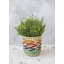 KitchenCraft Seagrass Plant Basket, Rainbow Striped Design