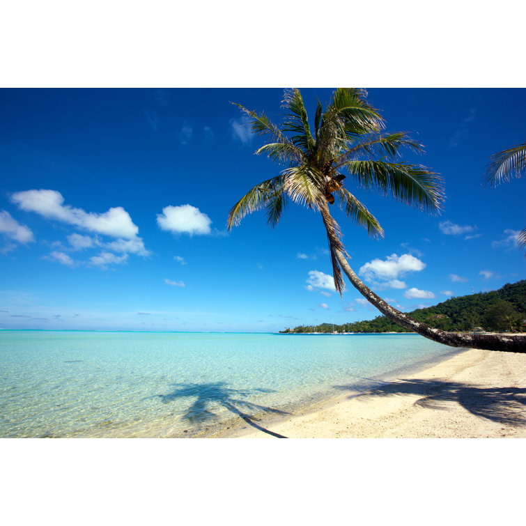Coconut Palm Tree In White Sand Beach by Ekash - No Frame Art Prints on Canvas
