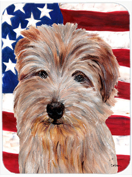 Planche à découper avec planche à découper en verre American Flag USA