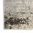Indoor Rug-2144162829