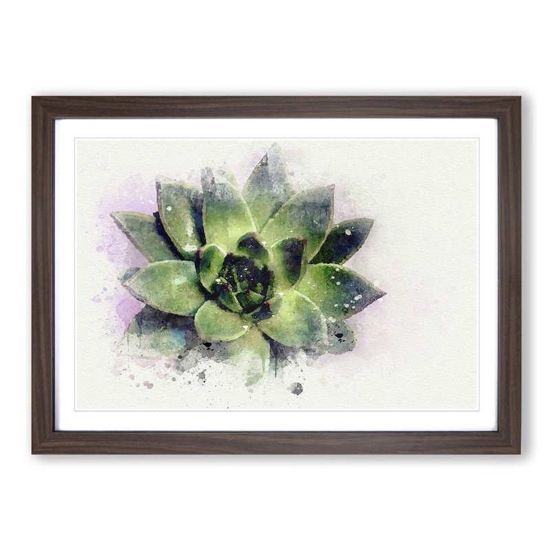 A Green Succulent Plant in Abstract - Picture Frame Graphic Art Print on MDF, Walnut Framed, 36cm H x 48cm W x 2cm D