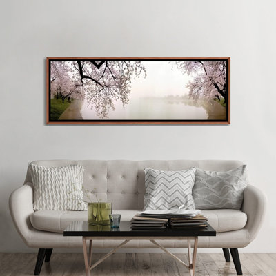 " Cherry Blossoms At The Lakeside Washington DC, USA "