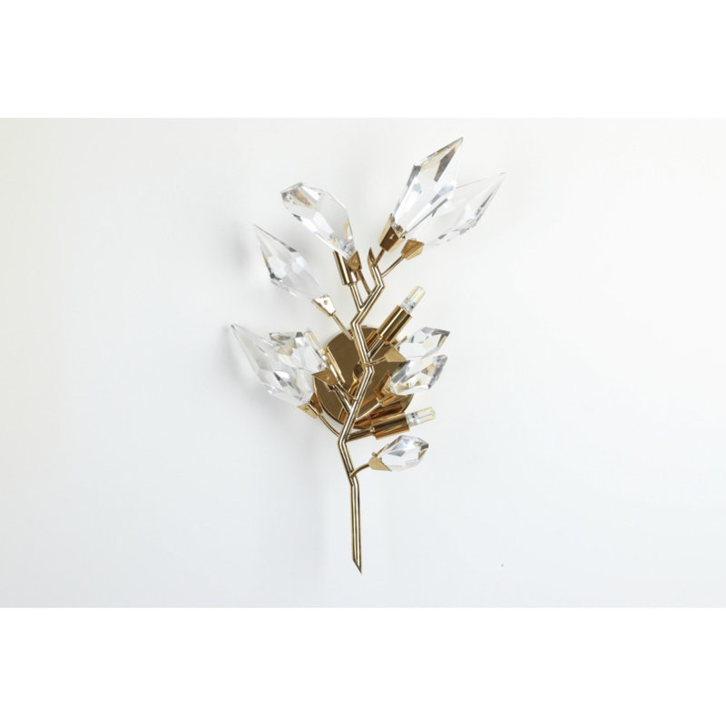 Lustre applique murale en acier 4 lumières Guidotti, Ambre, 12” Width x 28” Height, Argent argent