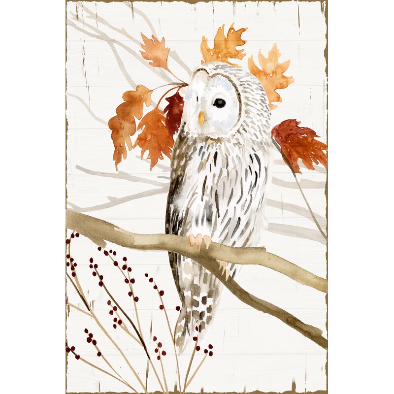Owl wall Decorations - Harvest Owl II On Canvas Print