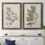 «Antique Black and White Botanical IV», ensemble de 2 reproductions d'art sur toile-1516307829-1516307837