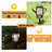 17.72'' Solar Powered Integrated LED Jar Lantern