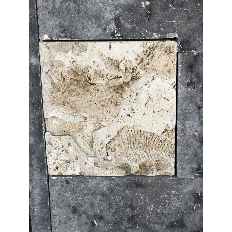6" x 6" SeaStone Whole Medallion Tile in Buff