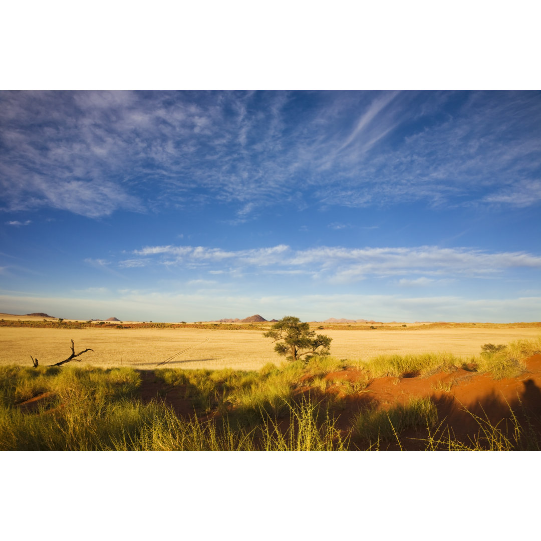 Steppe In Der Morgensonne von LucynaKoch - Ohne Rahmen auf Leinwand