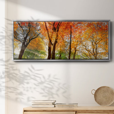 Prism of Light- Framed Canvas