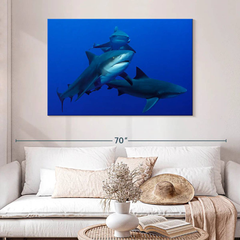 Triple requin, H 32 po x l 48 po