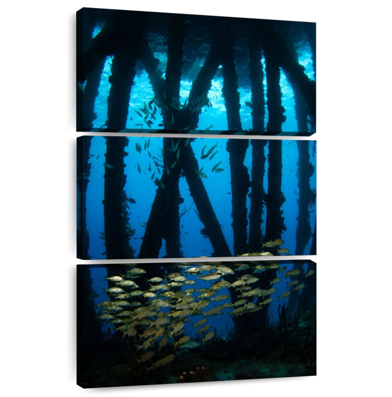 Aletra Salt Pier Underwater, 50" H x 32" W