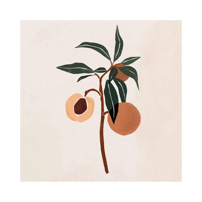 «Peach Branch» par Bria Nicole - impression d'art graphique, Toile tendue, Pas de tapis, H 26 po x l 26 po x P 1,5 po