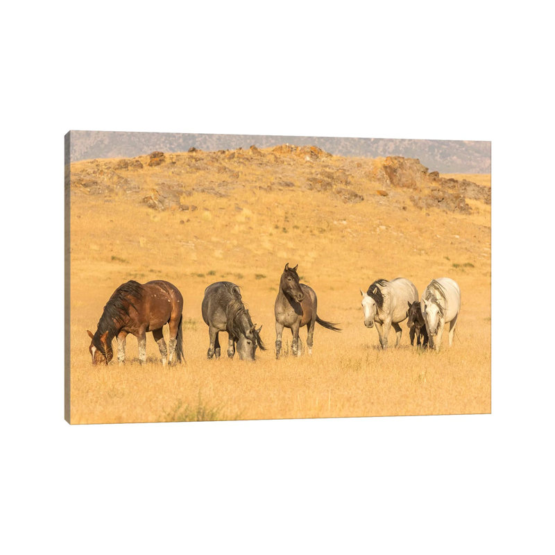 USA, Utah, Tooele County. Wild Horses On Plain. by Jaynes Gallery - Wrapped Canvas Gallery-Wrapped Canvas Giclée