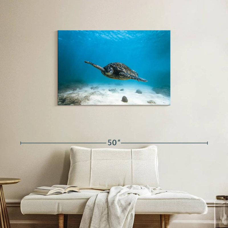 Tortue bleue Brampt, H 24 po x l 36 po