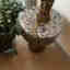 Customer photo 2 of 3