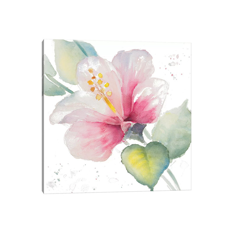 Fragrant Hibiscus II by Lanie Loreth - Wrapped Canvas Gallery-Wrapped Canvas Giclée, 30.48 cm H x 30.48 cm W