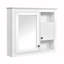Armoire murale 32 po avec miroir