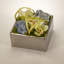 Orchids Floral Arrangement in Planter
