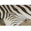 Rug & Kilim’S Contemporary Burchell Zebra Hide Rug With Classic Black Stripes