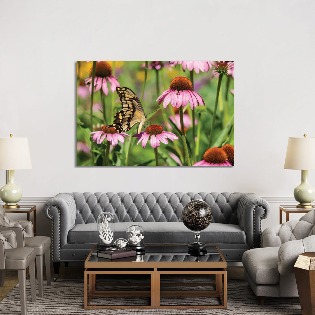 Giant Swallowtail On Purple Coneflower. Marion County, Illinois, USA. by Richard & Susan Day - Gallery-Wrapped Canvas Giclée on Canvas