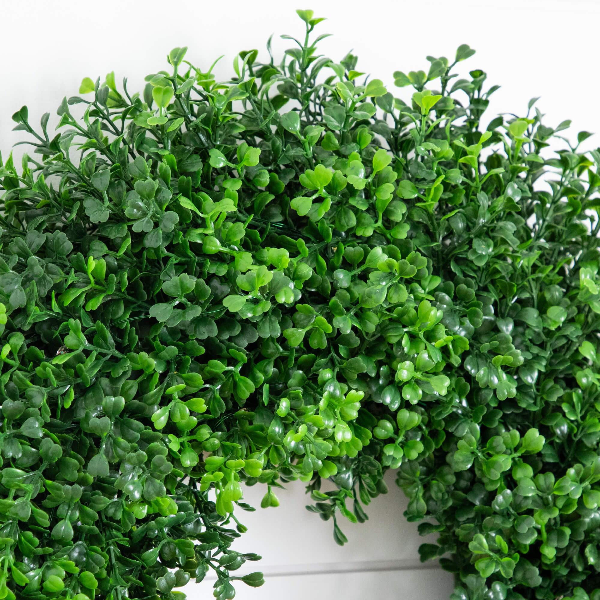 18In. Pre-Lit Autumn Boxwood Artificial Fall Wreath With 25 Warm White LED Lights, Green