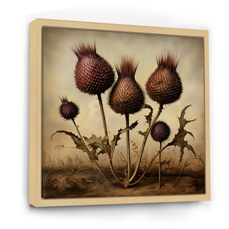 «Retro Thistle Floral Charm 11», art mural chardon, Brun, H 30 po x l 30 po