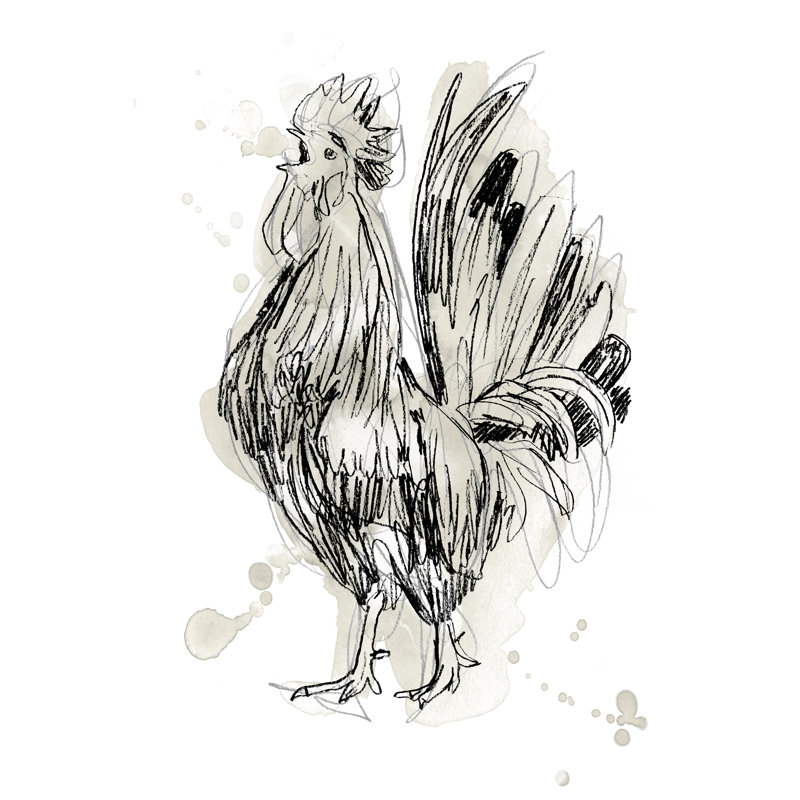 Feathered Fowl II by June Erica Vess - Painting on Canvas, 46cm H x 30cm W, Wrapped Canvas