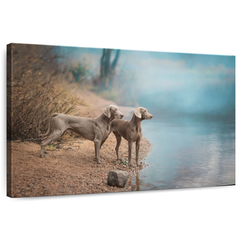 Brampt Weimaraner Dogs, 34" H x 51" W