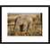 Global Gallery African Elephant Baby, Kenya Framed On Paper Print | Wayfair