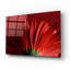 "Red Gerbera On Red 09" par Tom Quartermaine-313531361