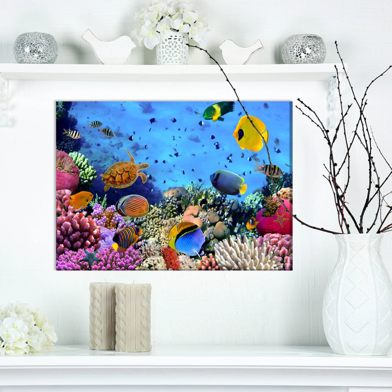 Impression sur toile, corail, corail, corail, H 12 po x l 20 po x P 1 po